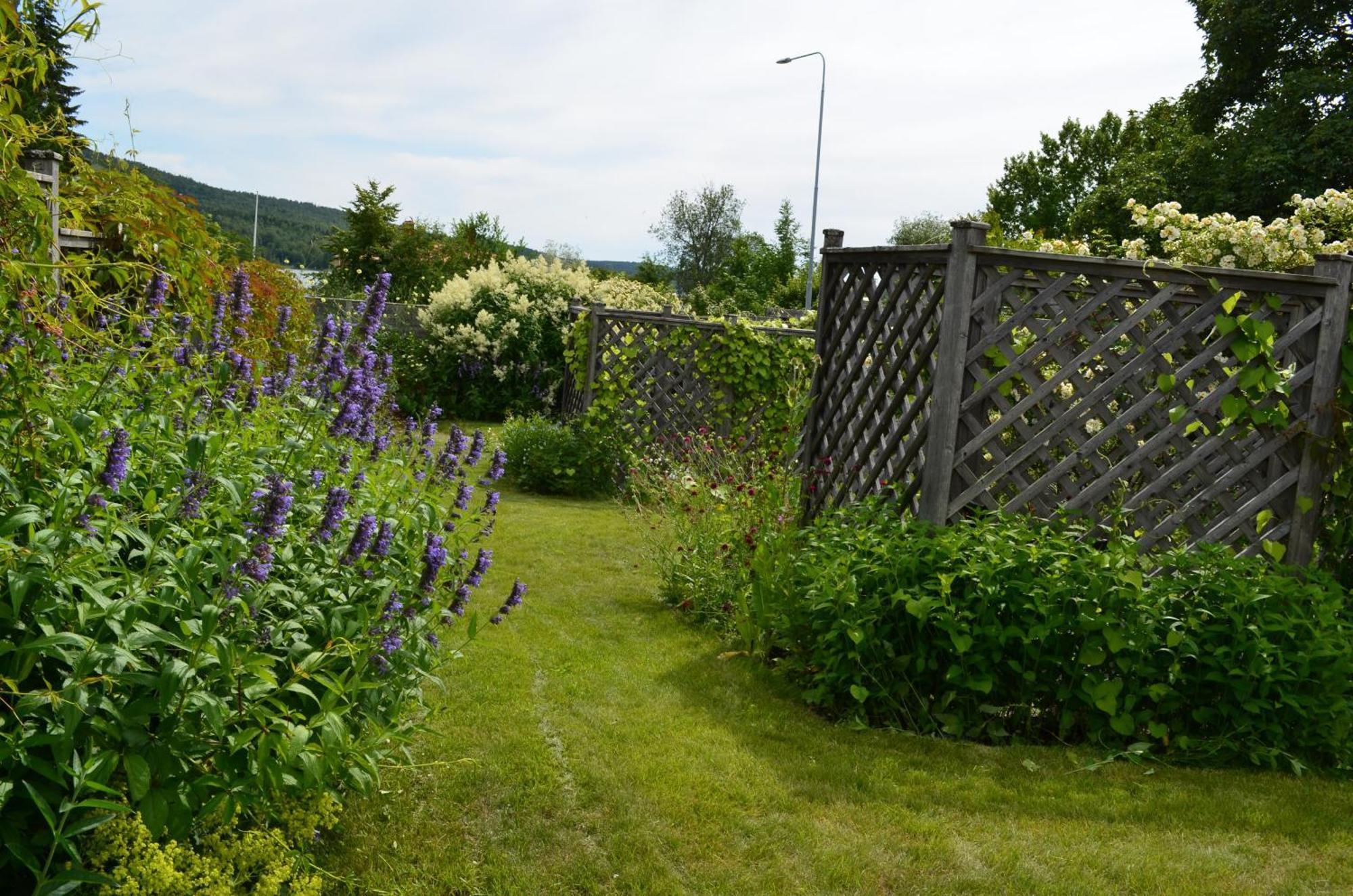 Bed and Breakfast Soergardens Logi Härnösand Esterno foto